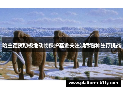 哈兰德资助极地动物保护基金关注濒危物种生存挑战