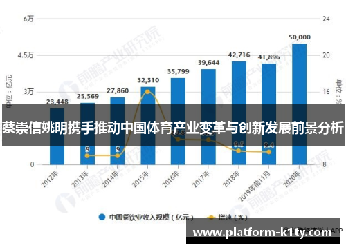 蔡崇信姚明携手推动中国体育产业变革与创新发展前景分析