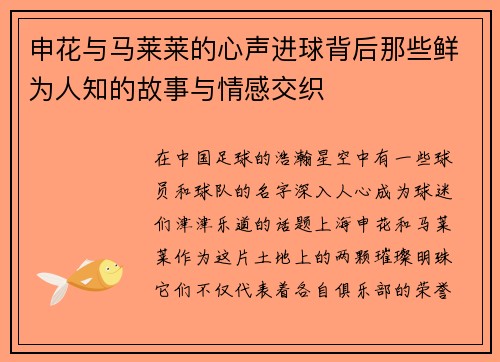 申花与马莱莱的心声进球背后那些鲜为人知的故事与情感交织